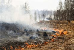 Mazowieckie. Pożary niedaleko Warszawy. Strażacy walczą z ogniem