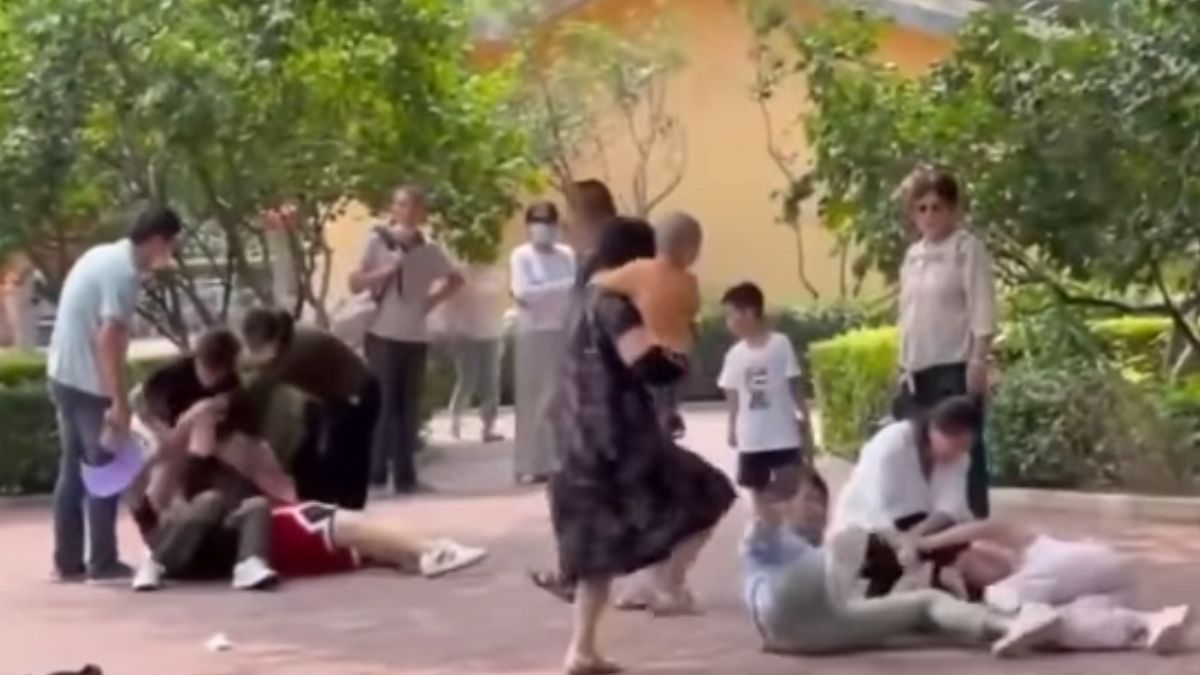 Ludzie pobili się w zoo 