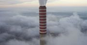 Algi wydzielają więcej CO2 niż go pochłaniają