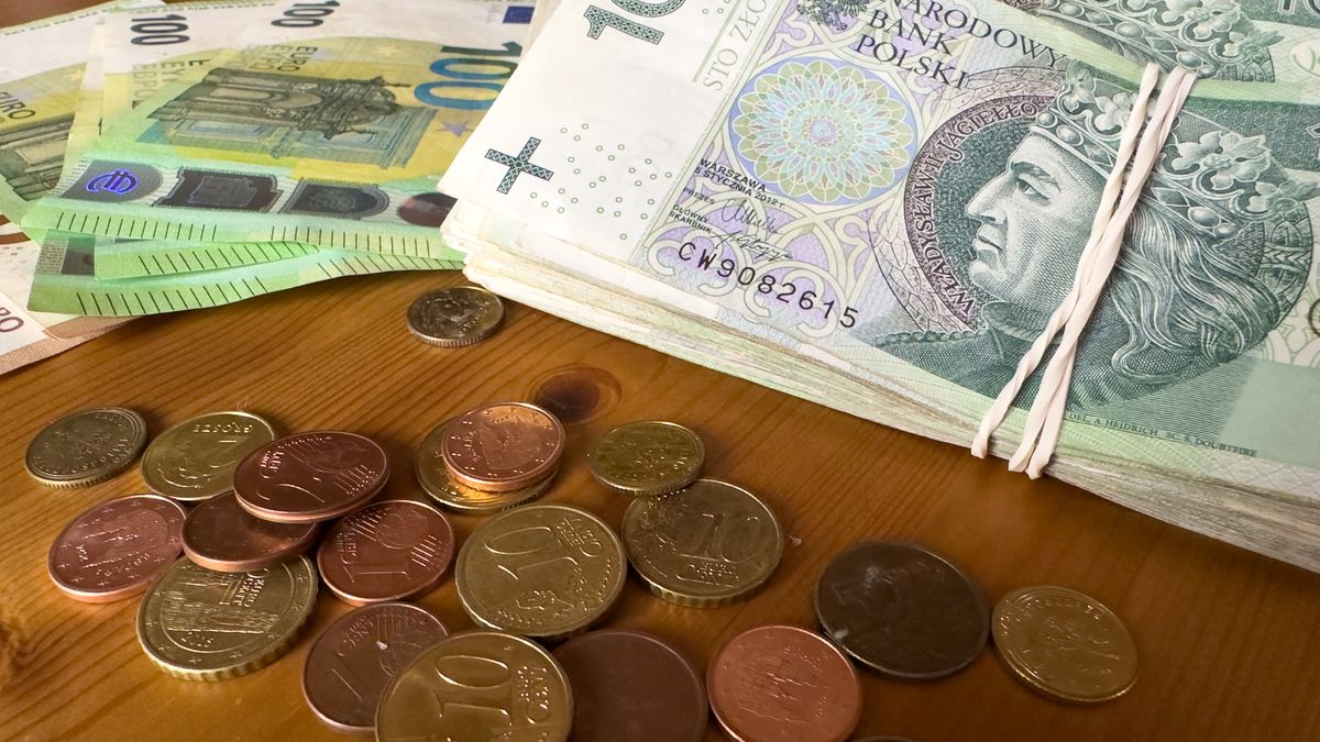 money, polish zloty, zloty, euro, coins, 100 zloty, banknotes, currency, exchange, finance, wooden table, everyday life, stock photo, coin, business, cash, bank, wealth, banking, investment, paper, change, financial, market, banknote, savings, economy, gold, dollar, bill, rich, success
