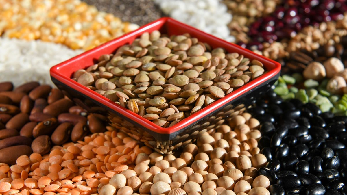 Ciecierzyca i soczewica to produkty, które warto włączyć do diety