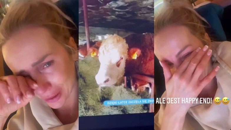 Agnieszka Woźniak-Starak płacze na nad losem krowy