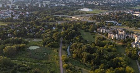 Plaże, hamaki i boiska. Nowa atrakcja w polskim mieście