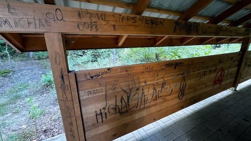 Wandalizm w Leśnictwie Miszewo 