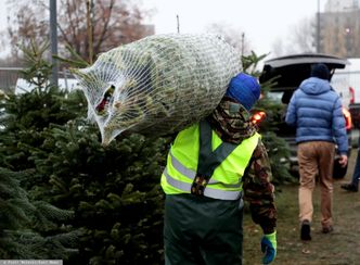 Warszawa. Sprzedawcy choinek grozili konkurencji