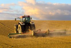 Wysokie ceny za zboże. Wszystko przez wojnę w Ukrainie