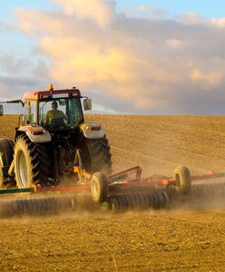 Wysokie ceny za zboże. Wszystko przez wojnę w Ukrainie