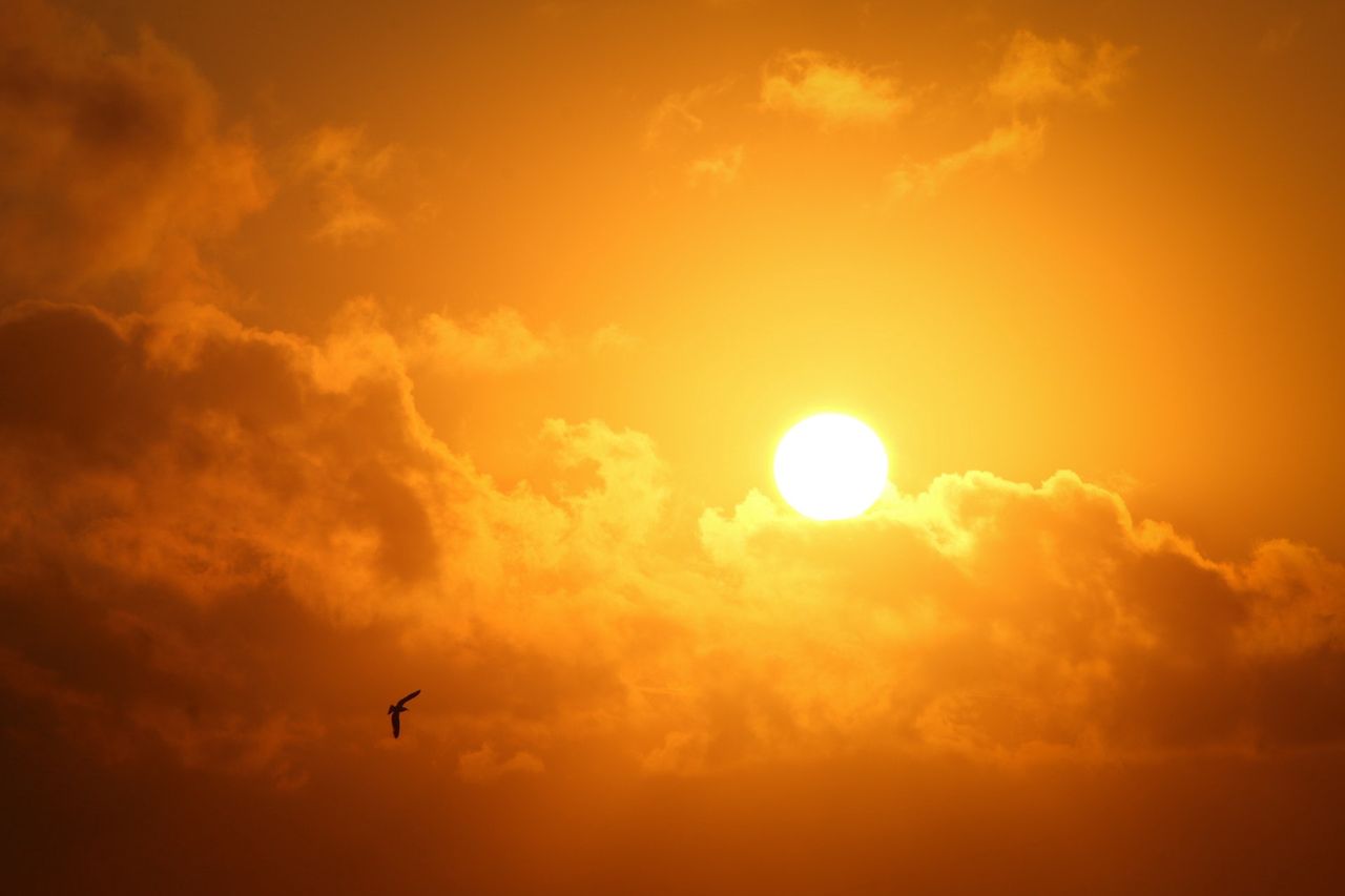 Czy możemy "odbijać Słońce", by uratować planetę? Amerykański eksperyment