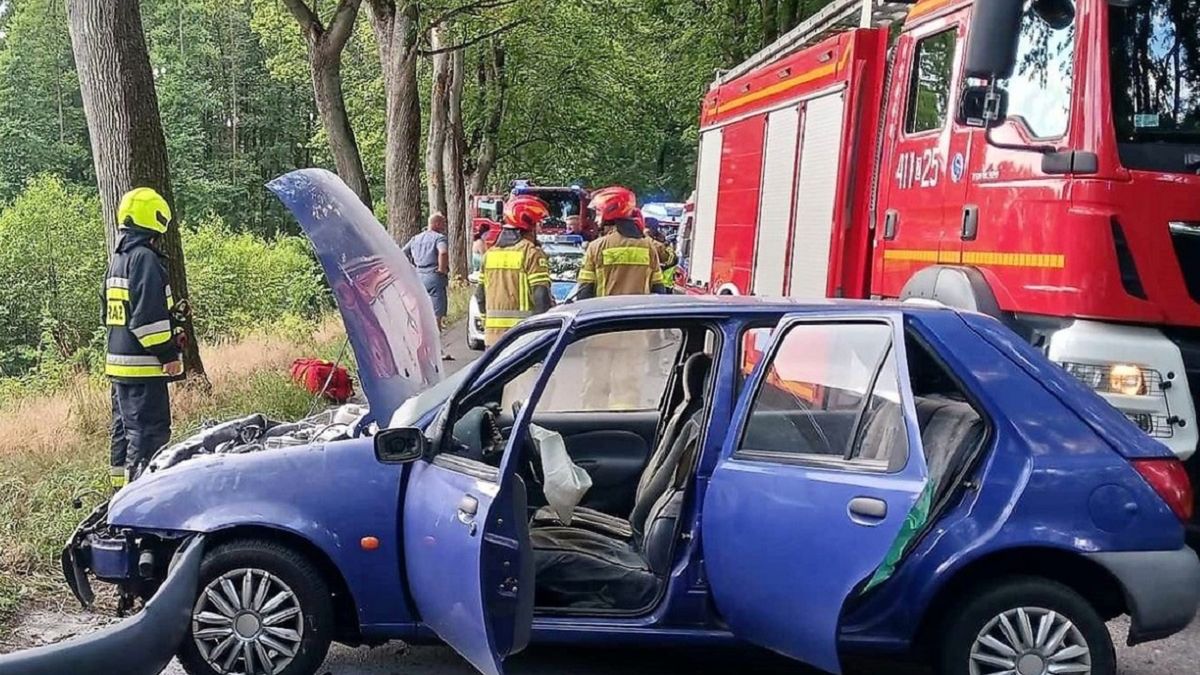 Wjechał w drzewo. Powód szokuje. 