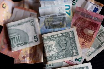 Dolar spadnie poniżej granicznej wartości? Prognoza dla polskiej waluty