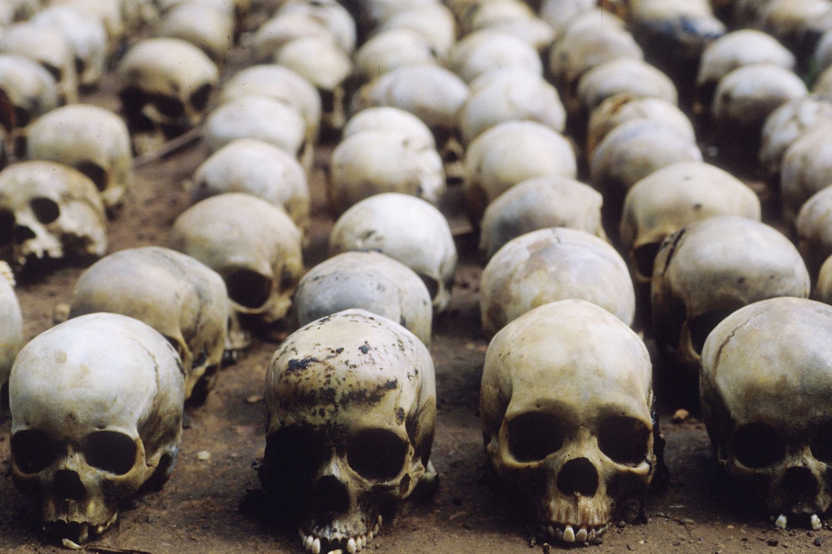 Czaszki znalezione po ludobójstwie w Rwandzie.
