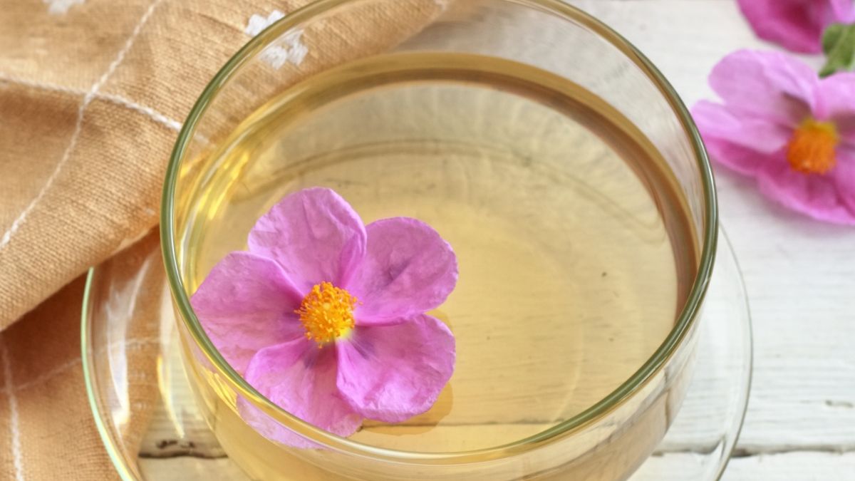 Herbata z czystka - Pyszności