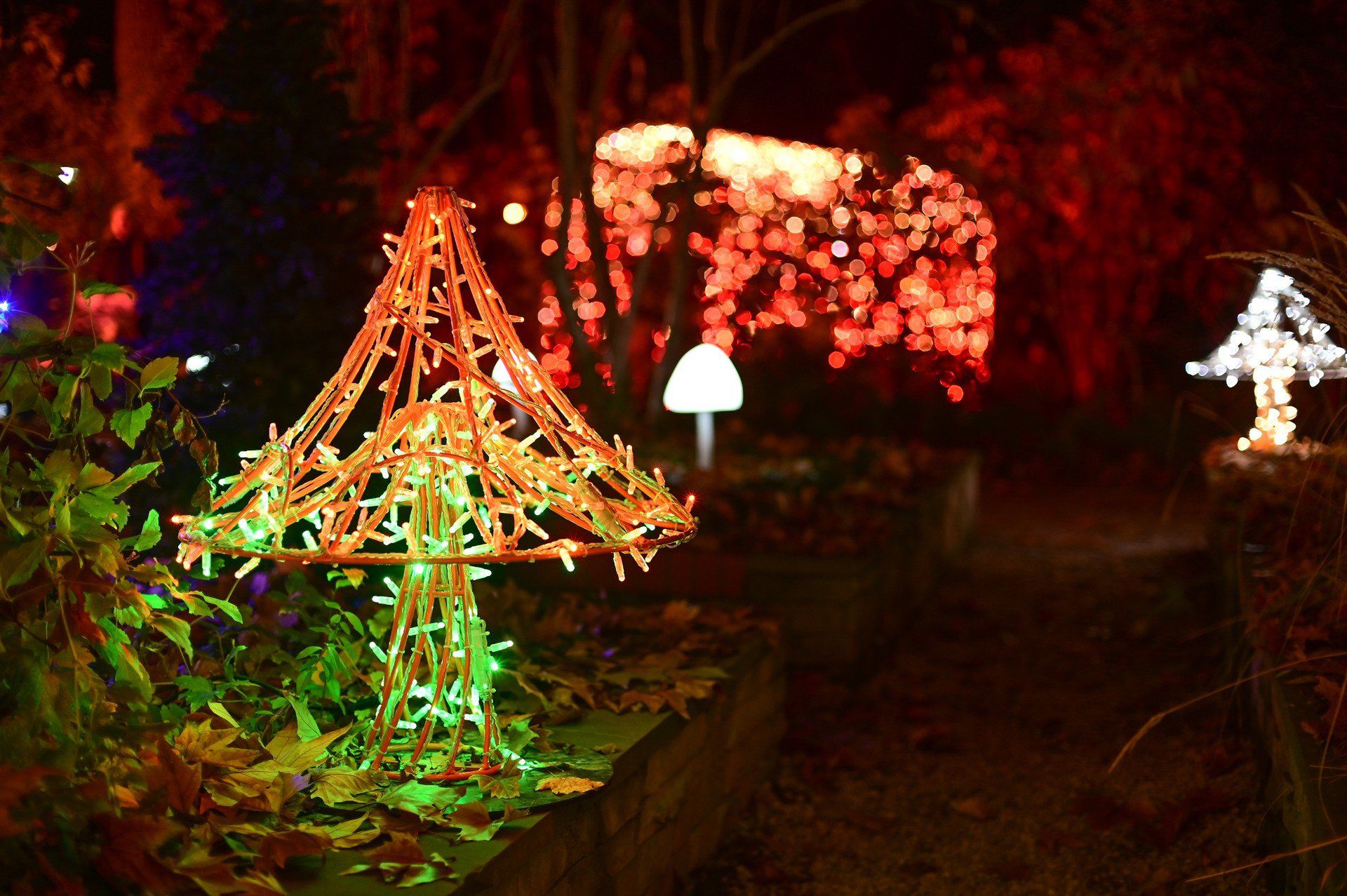 Magiczny Botaniczny powrócił w wielkim stylu