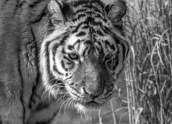 Smutne wieści napłynęły nocą. "Zakończyła się era"