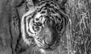 Smutne wieści napłynęły nocą. "Zakończyła się era"