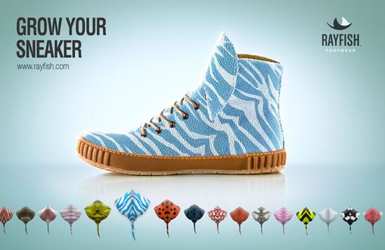 Dziwny koncept producenta obuwia - wyhoduj własne buty z DNA płaszczek