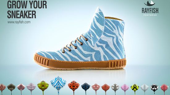 Dziwny koncept producenta obuwia - wyhoduj własne buty z DNA płaszczek 1