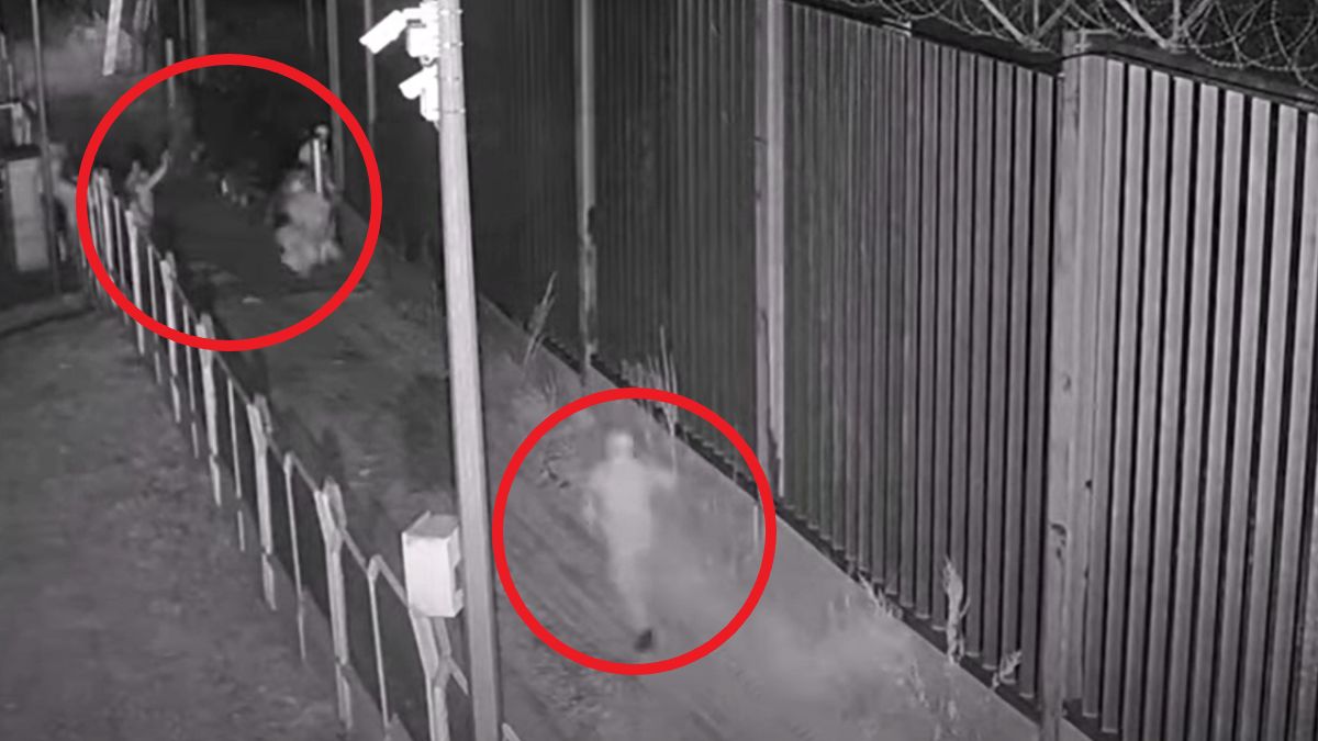 Cudzoziemcy przyłapani na gorącym uczynku. Tak przedostali się przez granicę