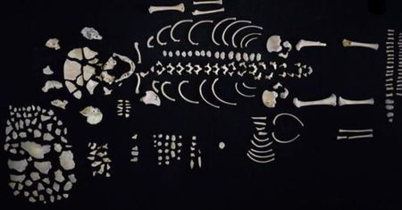 Skarbnica historii Majów. Wielkie odkrycie w Gwatemali