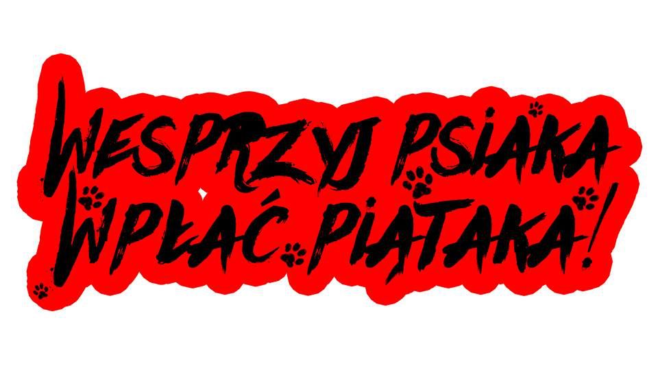 Wesprzyj Psiaka – Wpłać Piątaka już za tydzień!