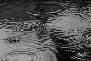 Majowe opady deszczu cieszą podkarpackich rolników. Od kilku lat doskwiera im susza hydrologiczna