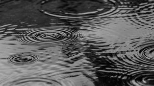 Majowe opady deszczu cieszą podkarpackich rolników. Od kilku lat doskwiera im susza hydrologiczna