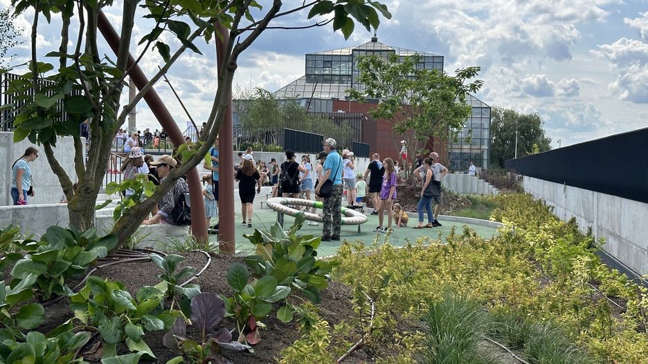 Krakowscy radni są za tworzeniem zielonych dachów - zdjęcie ilustracyjne.