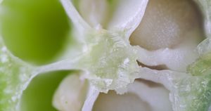 Co widzisz na zdjęciu?