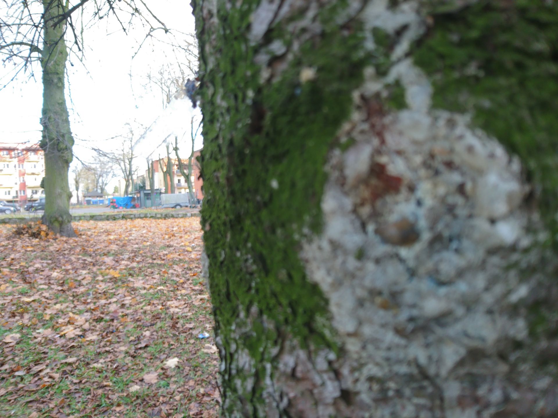 Sony Xperia X Compact - test i recenzja 54