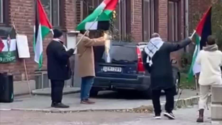 Zrzut ekranu / @aronverstandig