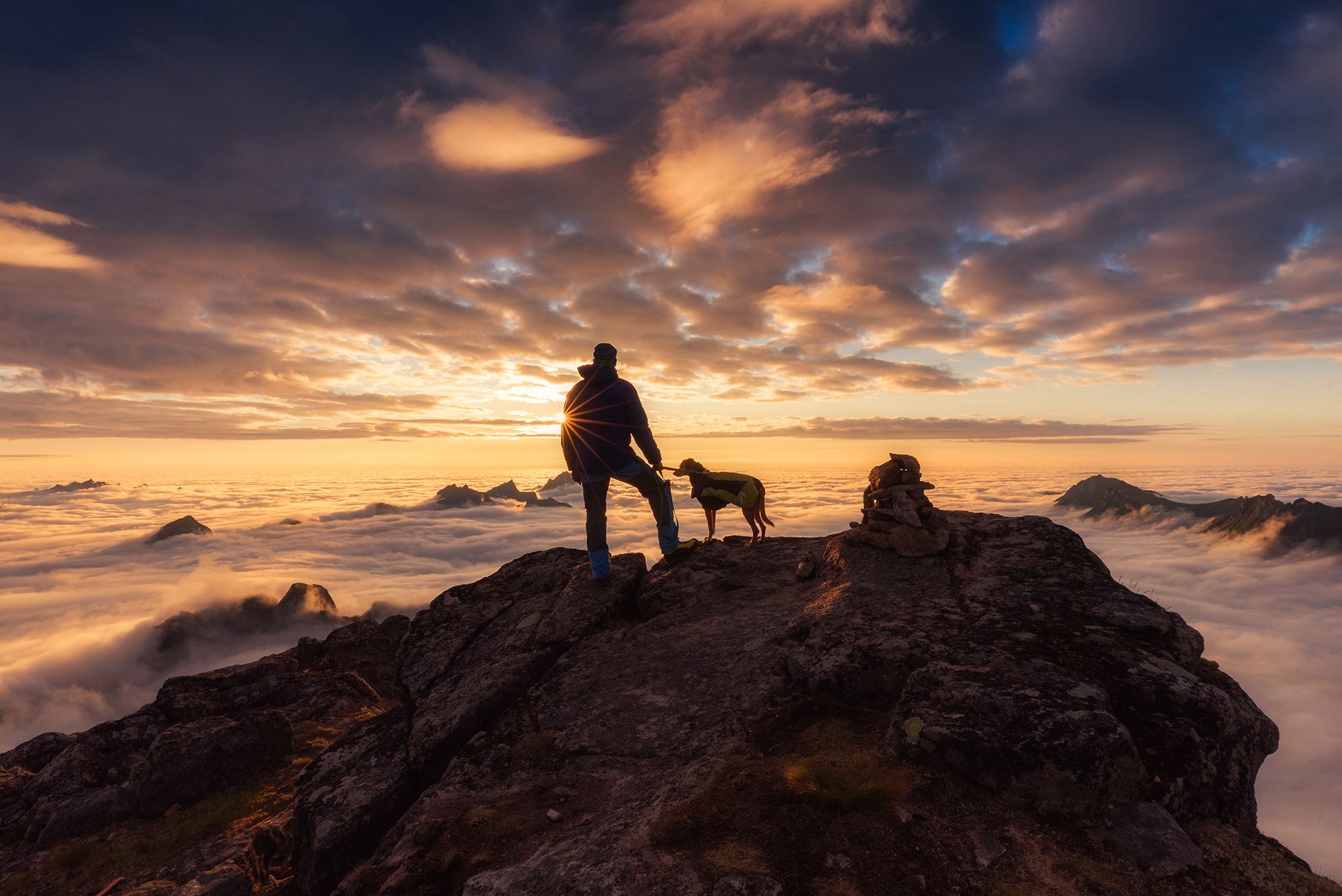 Najpiękniejsze zdjęcia psów w konkursie Dog Photographer of the Year 2018 29