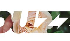 buzz. zajmie się kampanią prezerwatyw Skyn