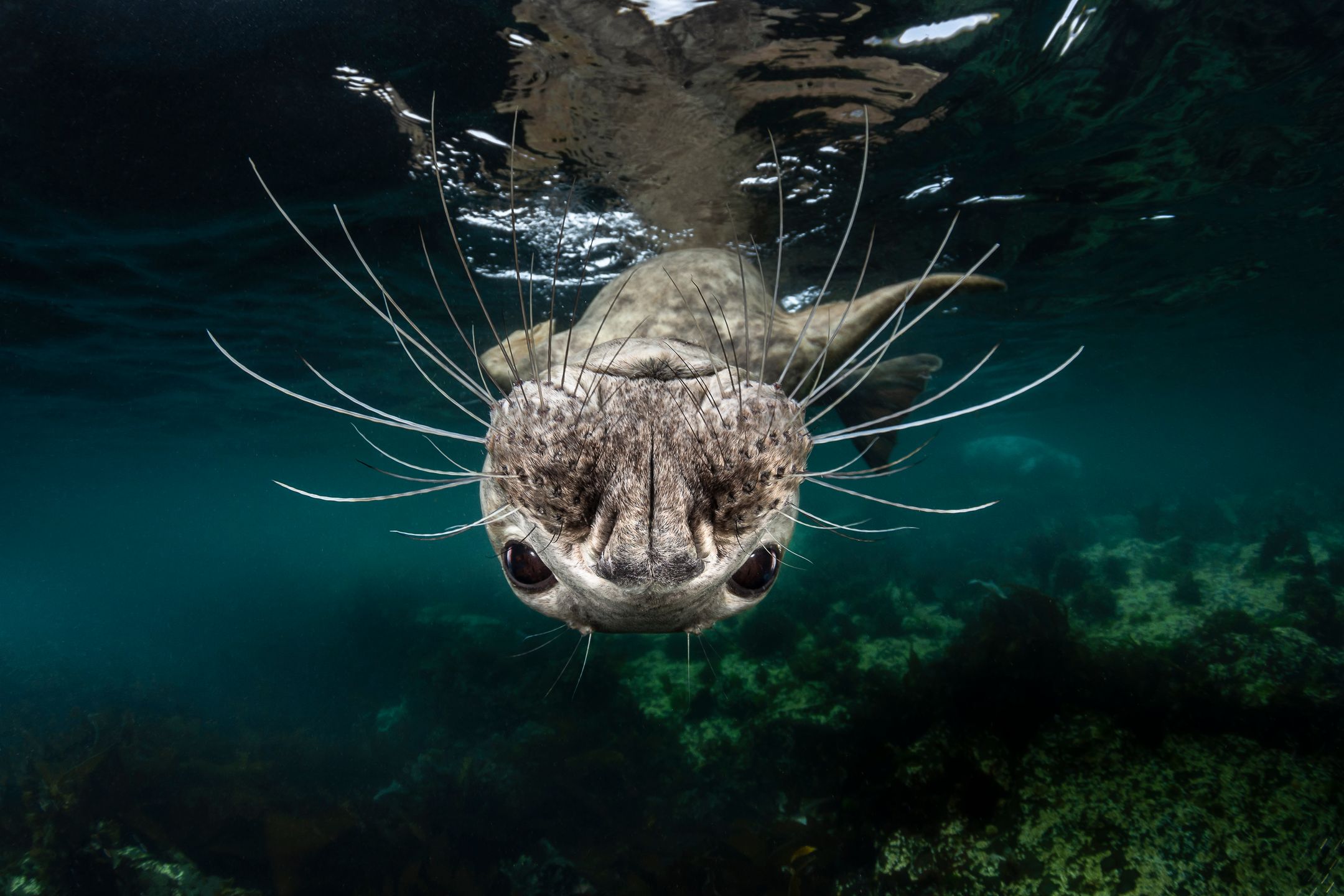 Piotr Leczkowski zwycięzcą polskiej edycji National Awards w Sony World Photography Awards 2019 25