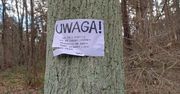 Leśnicy pokazali karteczkę. Tylko kilka słów. Spójrzcie