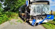 Drogowy horror pod Bydgoszczą. Autobus wbił się w drzewo