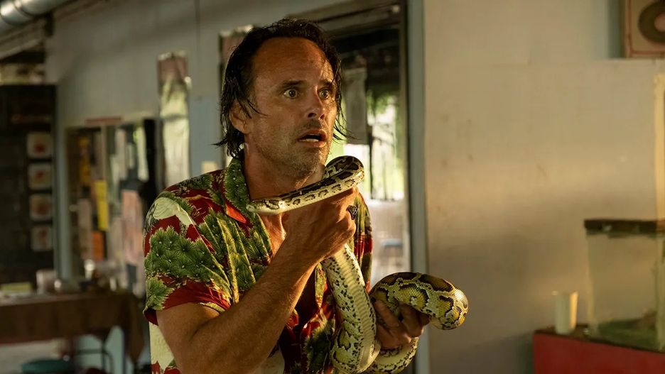 Walton Goggins w "Białym lotosie"
