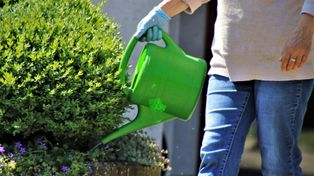 Bydgoszcz: Tyle trzeba zapłacić za działkę ROD w marcu 2026 - ceny i zdjęcia z Bydgoszczy i okolic