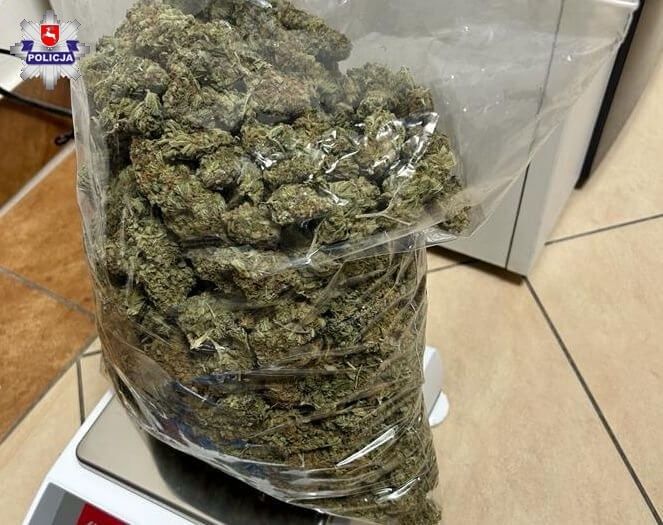 marihuana