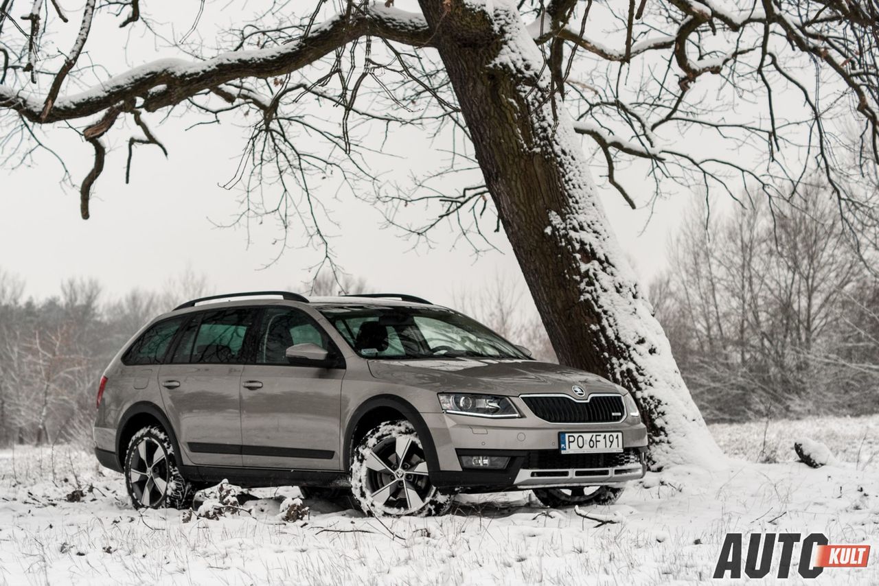 Nowa Škoda Octavia Scout 2.0 TDI - test [galeria]