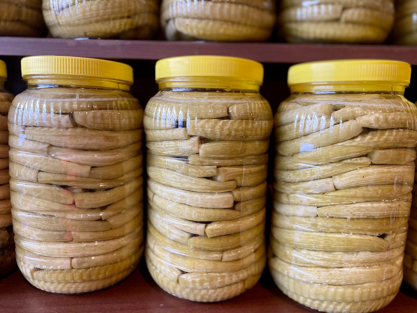 Karczochy w słoikach łatwo dostać w większych supermarketach