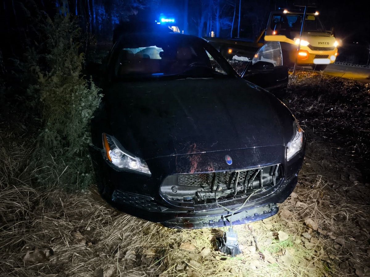 Stado dzików wbiegło przed maskę. Nie udało się uniknąć zderzenia