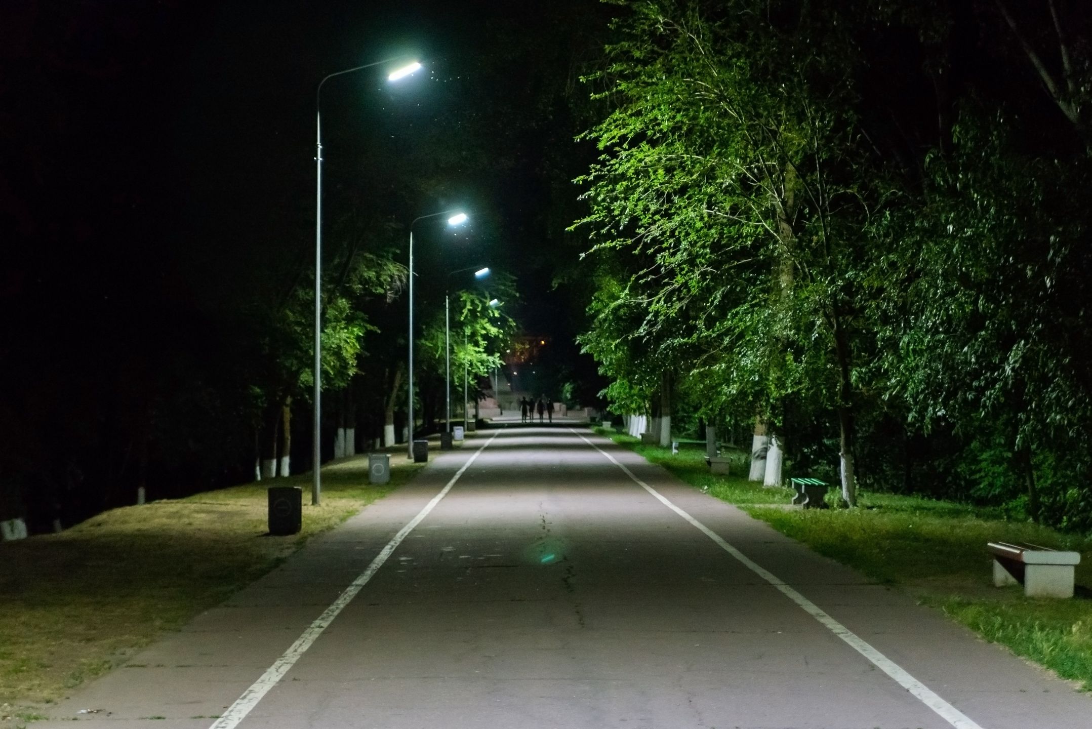 Lampy; oświetlenie uliczne; lampy uliczne; droga; park; noc