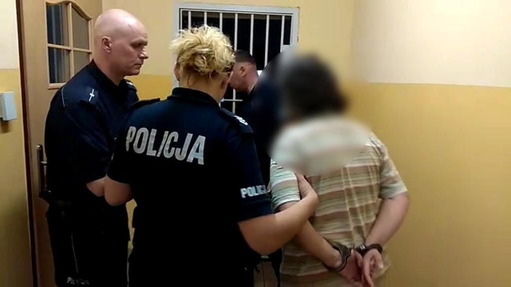 Poznań: 1,5 roku więzienia za śmiertelne potrącenie 8-latki