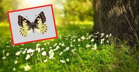 Przełomowe odkrycie Polaka. Pomogła mu armia