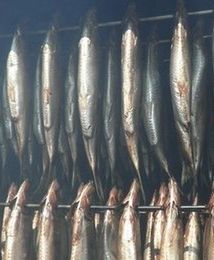 Śmierdzące ryby w sklepach na Pomorzu. Cierpnie skóra po kontroli Inspekcji Handlowej