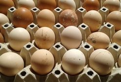 GIS ostrzega przed salmonellą w trzech partiach jaj
