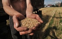Bruksela chce pomóc Ukrainie. Polscy rolnicy nie chcą za to płacić i zapowiadają protesty