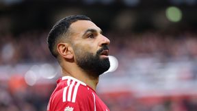 Liga Mistrzów. Gdzie oglądać mecze Liverpoolu, PSG i Tottenhamu?