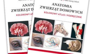 Anatomia zwierząt domowych. Kolorowy atlas i podręcznik. Wydanie IV