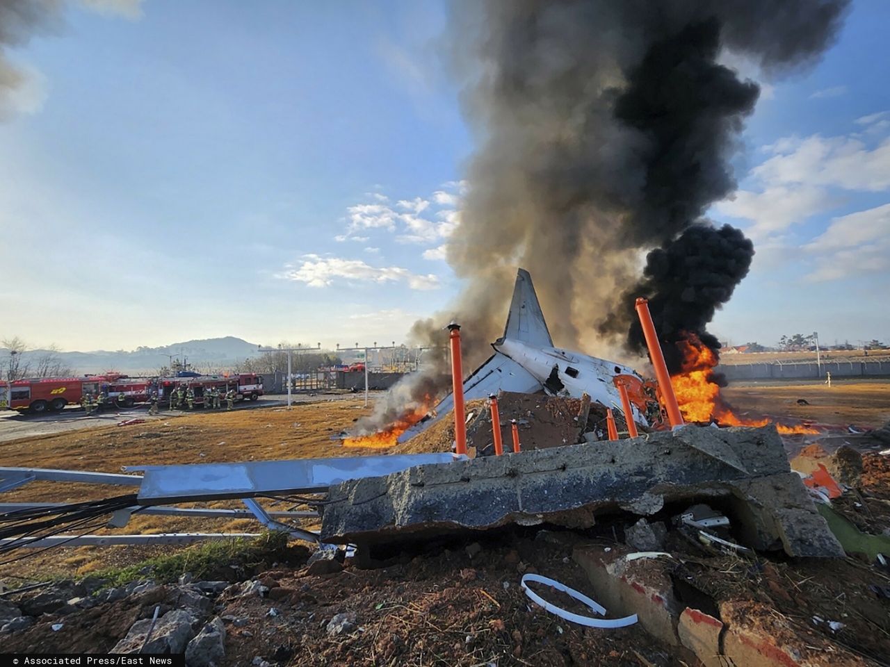 Duck feathers in Boeing 737 crash spark aviation probe